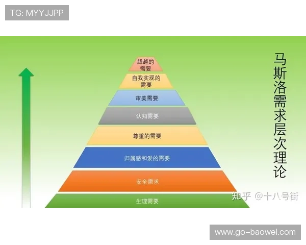 体验分级策略满足多元化用户需求