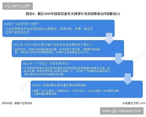 全球网球装备市场稳定增长，中国品牌加速国际化布局